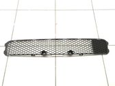 Front bumper lower grill