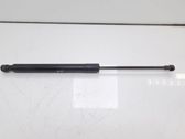 Tailgate/trunk strut/damper