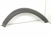 Fender trim (molding)