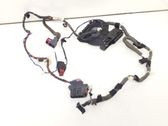 Front door wiring loom