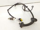 Rear door wiring loom