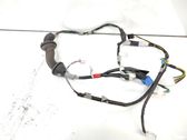 Front door wiring loom