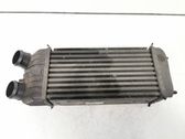 Intercooler radiator