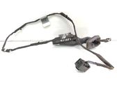 Rear door wiring loom