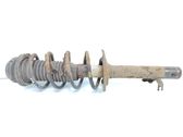 Front shock absorber with coil spring