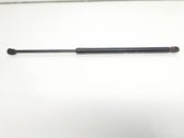 Tailgate/trunk strut/damper
