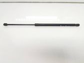 Tailgate/trunk strut/damper