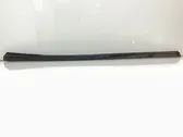 Windshield trim