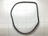 Rear door rubber seal (on body)