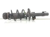 Front shock absorber with coil spring