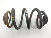 Rear coil spring