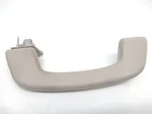 Front interior roof grab handle