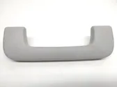 Front interior roof grab handle