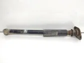 Rear shock absorber/damper