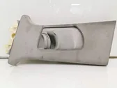 (B) pillar trim (top)