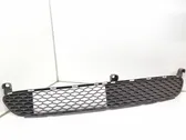 Front bumper lower grill