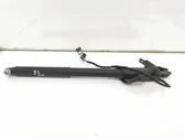Tailgate/trunk strut/damper