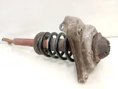 Front shock absorber with coil spring