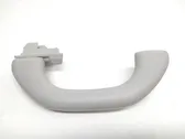 Rear interior roof grab handle