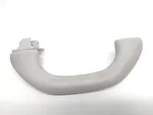 Front interior roof grab handle