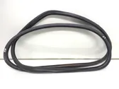 Front door rubber seal