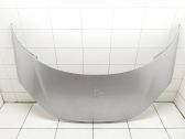 Engine bonnet/hood