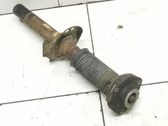Front shock absorber/damper