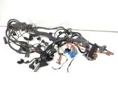 Faisceau de câblage pour moteur