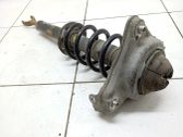 Front shock absorber with coil spring