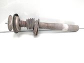 Front shock absorber/damper