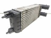 Intercooler radiator
