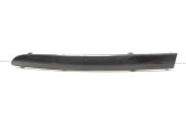 Rear bumper trim bar molding