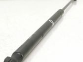 Tailgate/trunk strut/damper