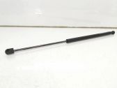 Tailgate/trunk strut/damper