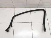 Other front door trim element