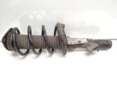 Front shock absorber with coil spring
