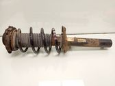 Front shock absorber with coil spring