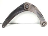Front lower control arm/wishbone