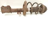 Front shock absorber with coil spring