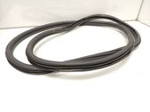 Rear door rubber seal (on body)