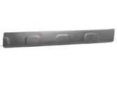 Front door trim (molding)
