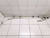 Roof airbag
