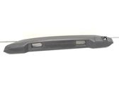 Trunk door license plate light bar