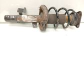 Front shock absorber with coil spring