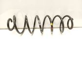 Muelle espiral trasero