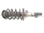 Front shock absorber with coil spring