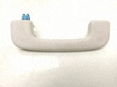 Front interior roof grab handle