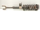 Front shock absorber with coil spring