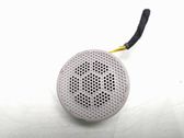 Front door high frequency speaker
