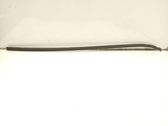 Windshield trim